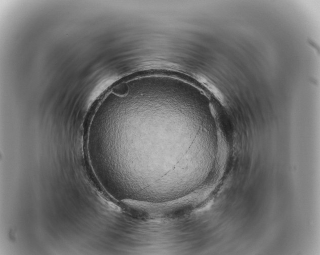 X0000096220877200801251054