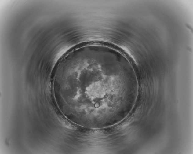 X0000096220879200801251054