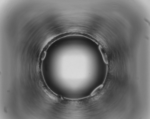 X0000096220880200801251054