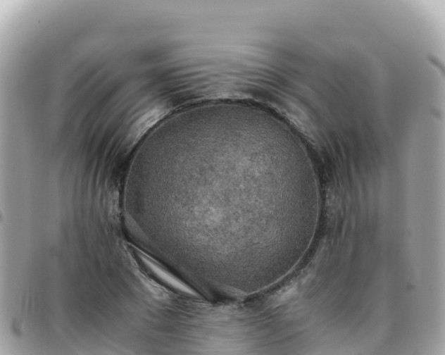 X0000096220881200801251054