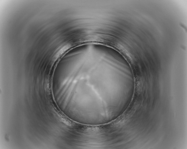 X0000096220882200801251054