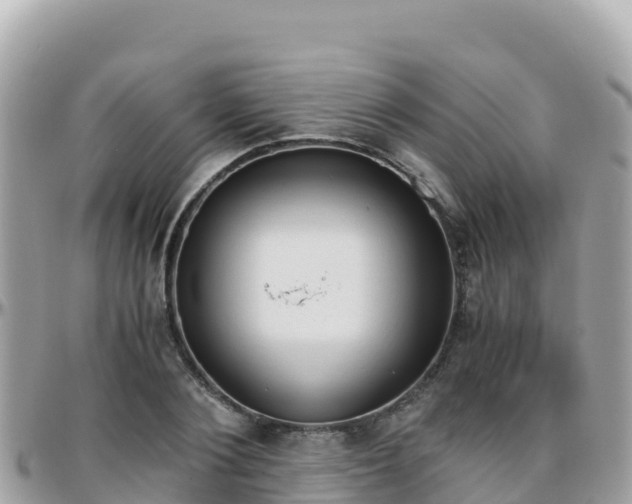 X0000096220884200801251054