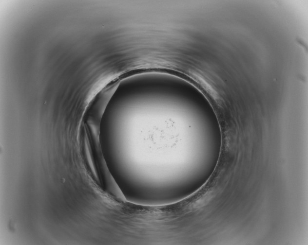 X0000096220885200801251054