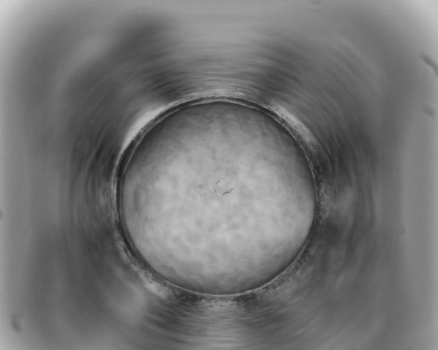 X0000096220886200801251054