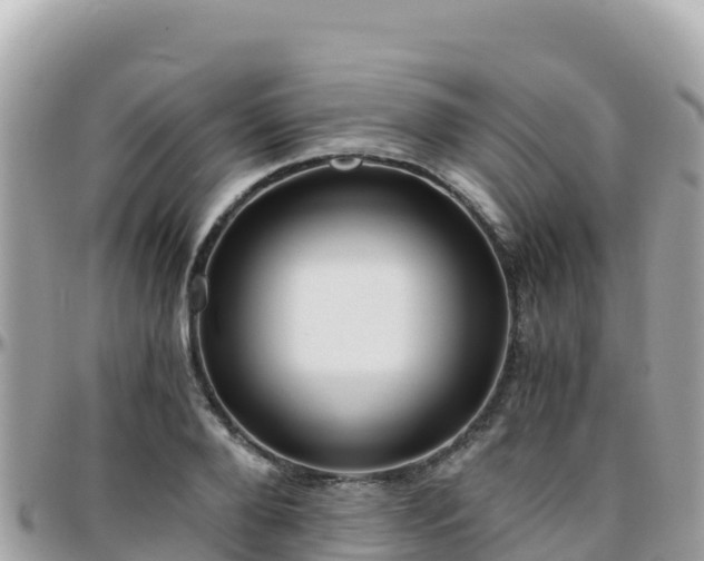 X0000096220888200801251054