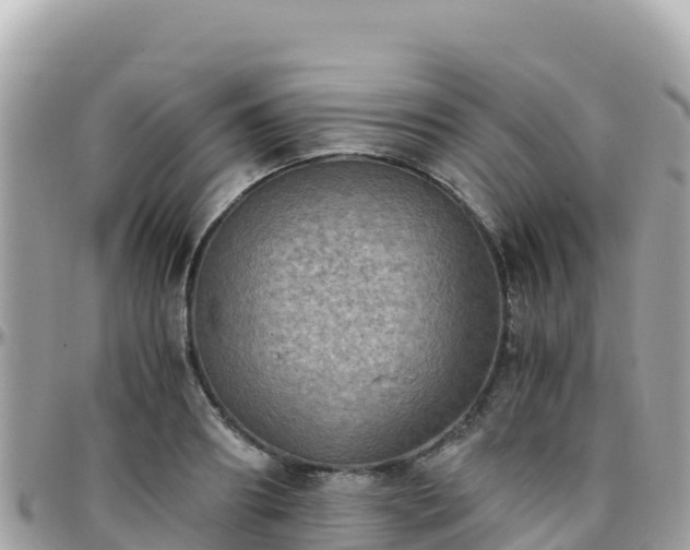 X0000096220890200801251054