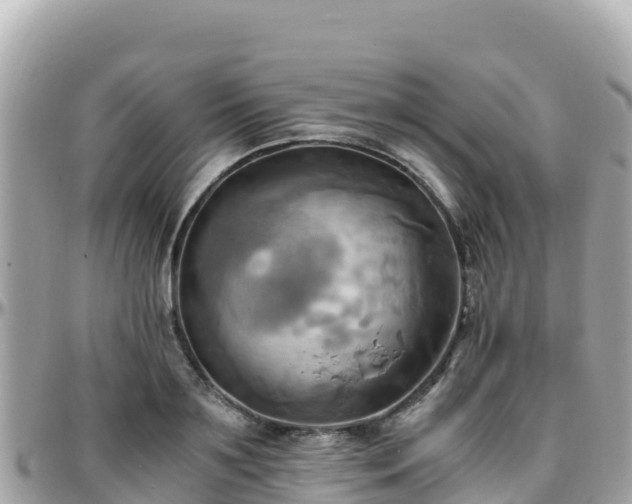 X0000096220891200801251054