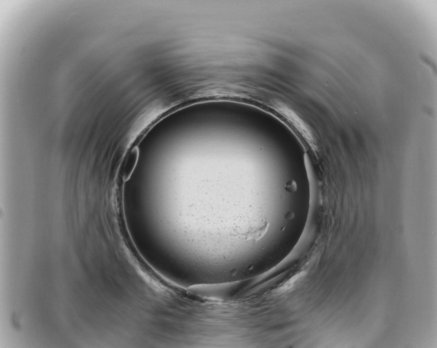 X0000096220893200801251054