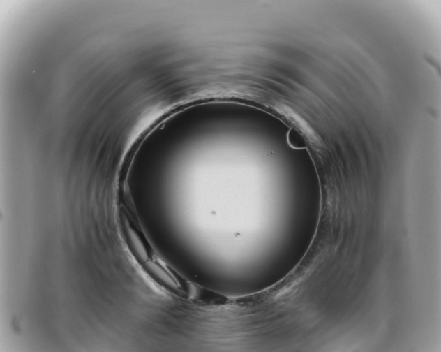 X0000096220894200801251054