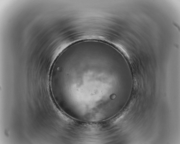 X0000096220895200801251054