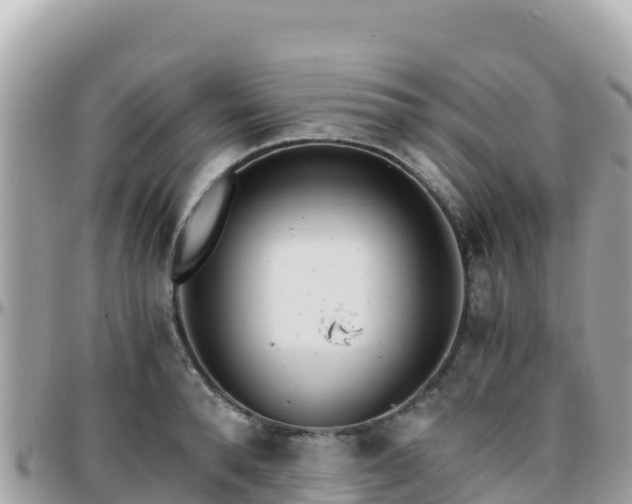 X0000096220896200801251054