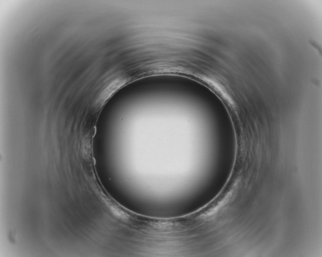 X0000096220897200801251054