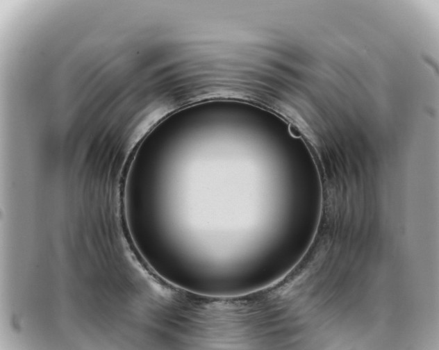 X0000096220898200801251054