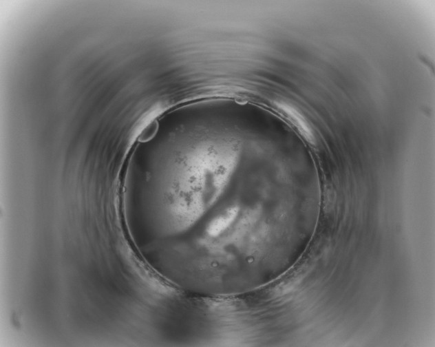 X0000096220899200801251054