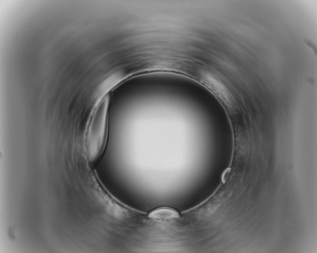 X0000096220900200801251054