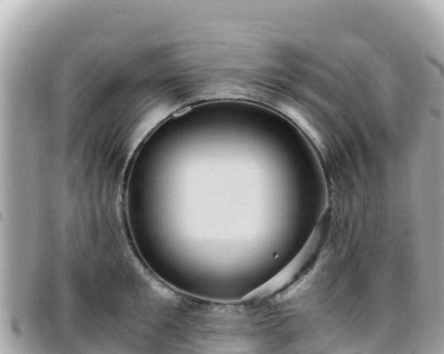 X0000096220901200801251054