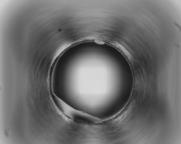 X0000096220902200801251054