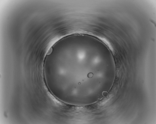 X0000096220903200801251054