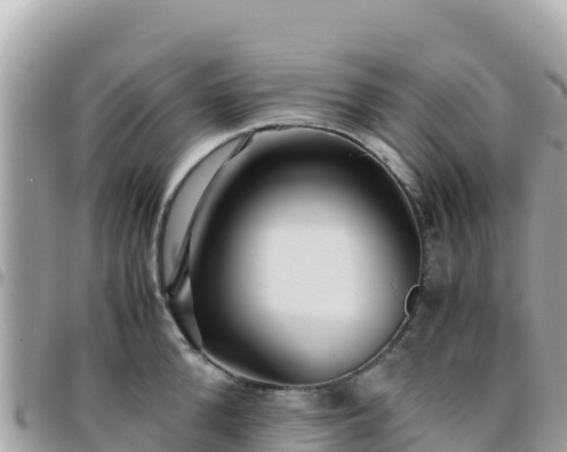 X0000096220904200801251054