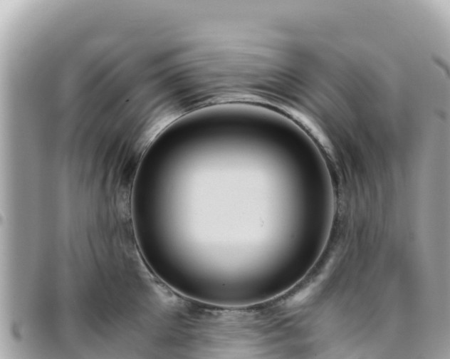 X0000096220905200801251054