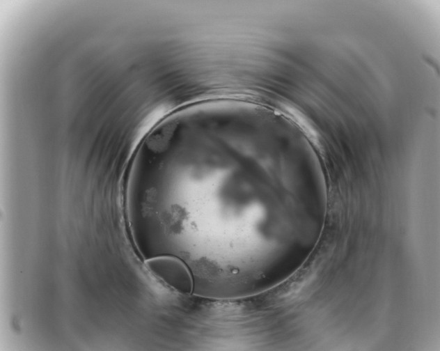 X0000096220907200801251054