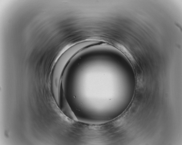 X0000096220908200801251054