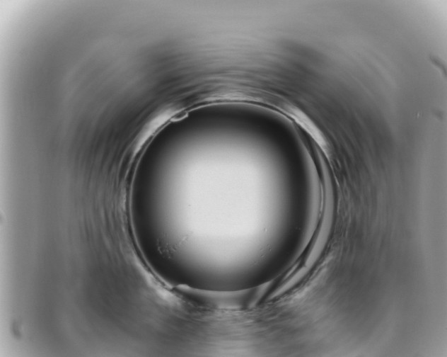 X0000096220909200801251054