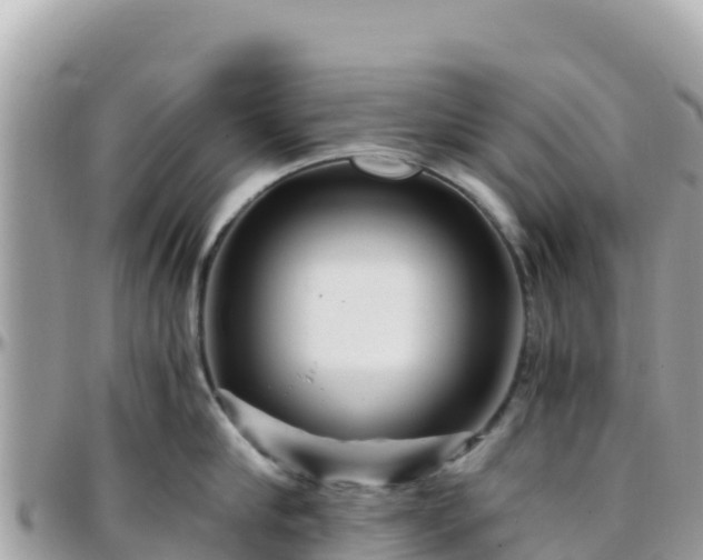 X0000096220910200801251054