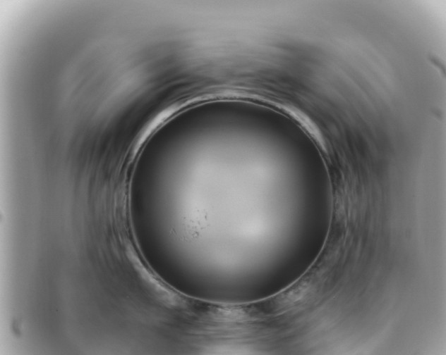 X0000096220911200801251054