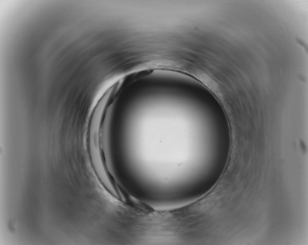 X0000096220912200801251054