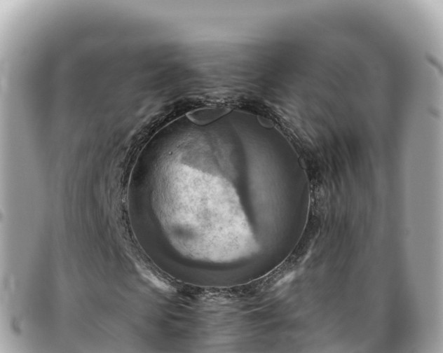 X0000096220913200801251053