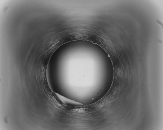 X0000096220914200801251053