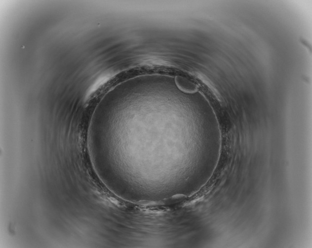 X0000096220919200801251053