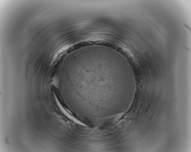 X0000096220920200801251053