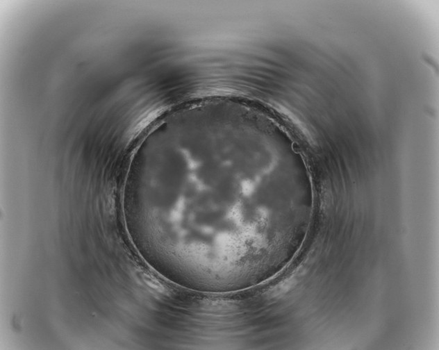 X0000096220921200801251053