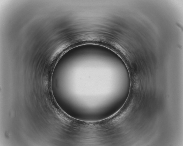 X0000096220922200801251053