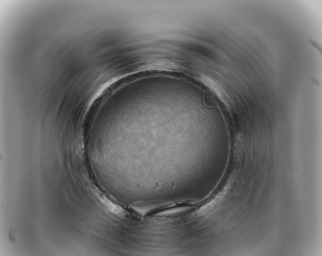 X0000096220923200801251053