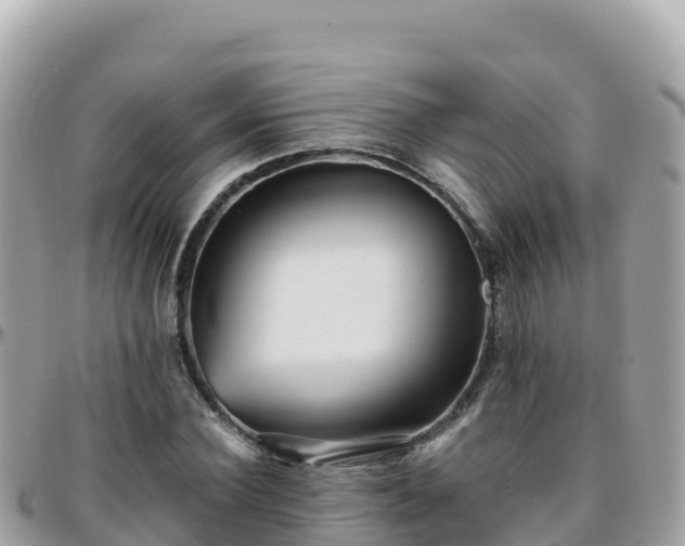 X0000096220924200801251053