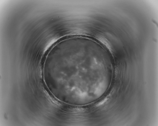 X0000096220925200801251053