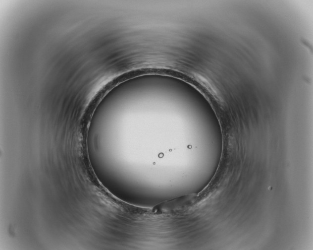 X0000096220926200801251053