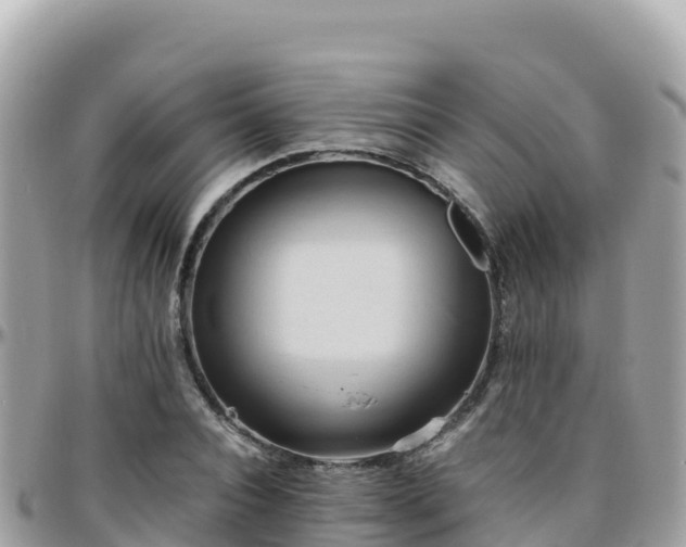 X0000096220928200801251053