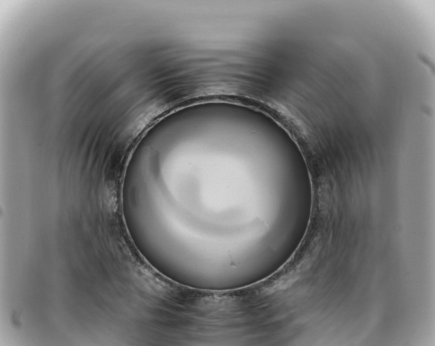 X0000096220929200801251053