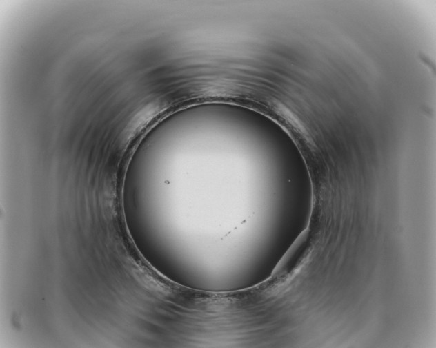 X0000096220930200801251053