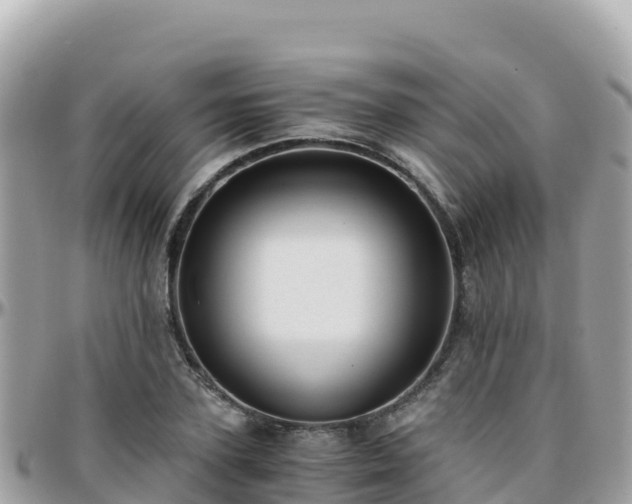 X0000096220931200801251053