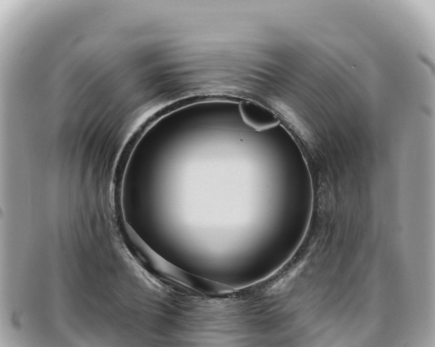 X0000096220932200801251053