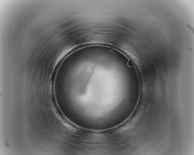 X0000096220933200801251053