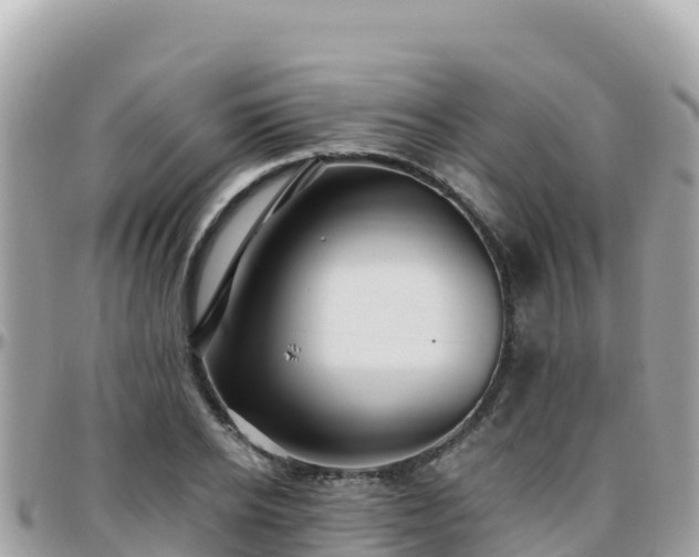 X0000096220934200801251053