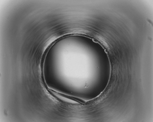 X0000096220936200801251053