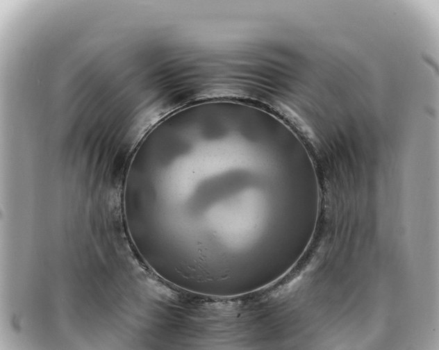 X0000096220937200801251053