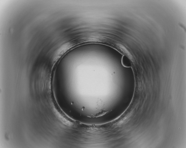 X0000096220938200801251053